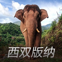 比亚迪：增加外汇衍生品套期保值交易业务额度